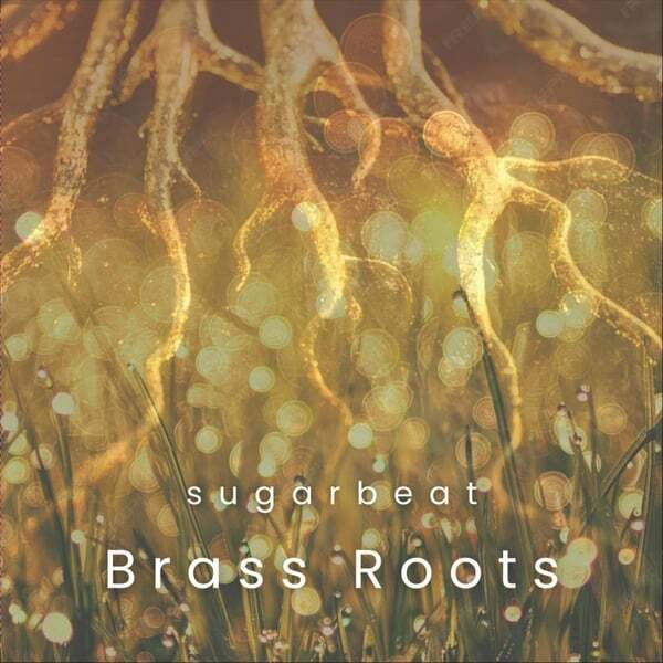 Cover art for Brass Roots